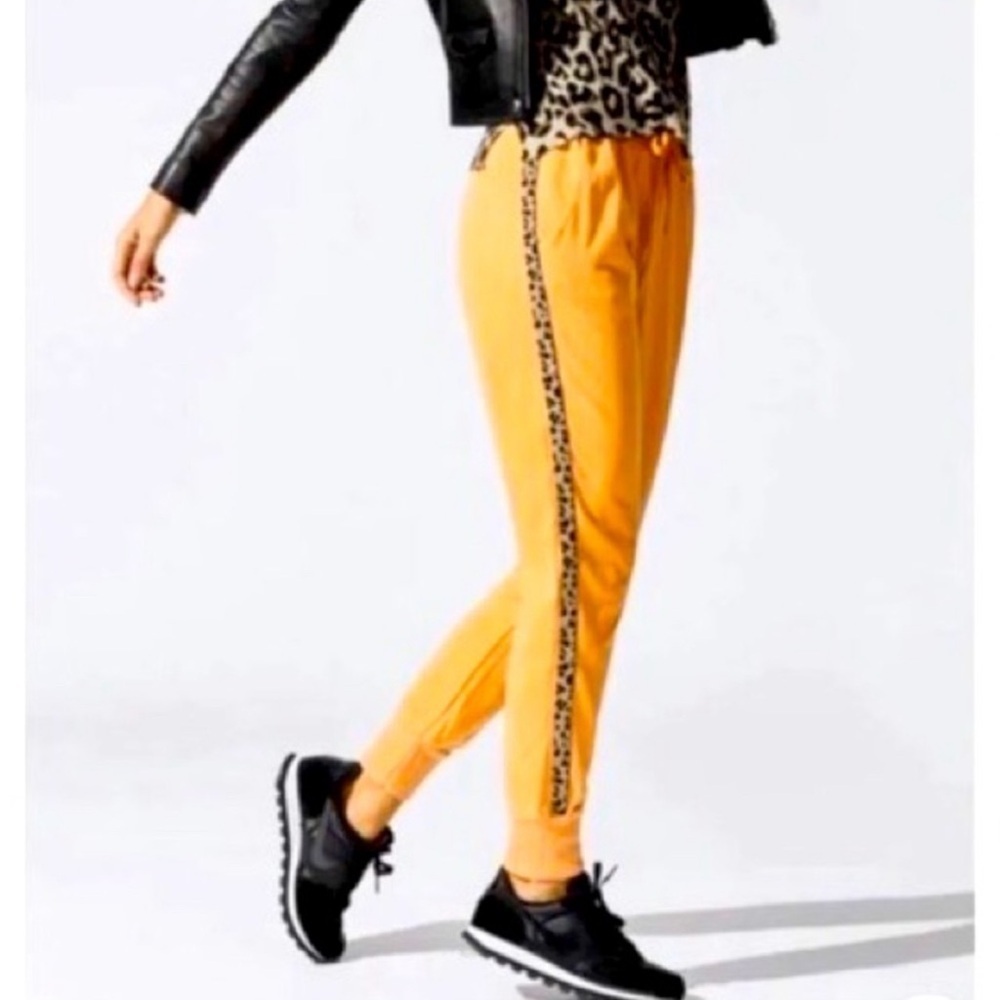 SUNDRY Size XS 0 Gold Joggers Tuxedo Stripes Animal Print Sweatpants Fall Autumn - Picture 2 of 14